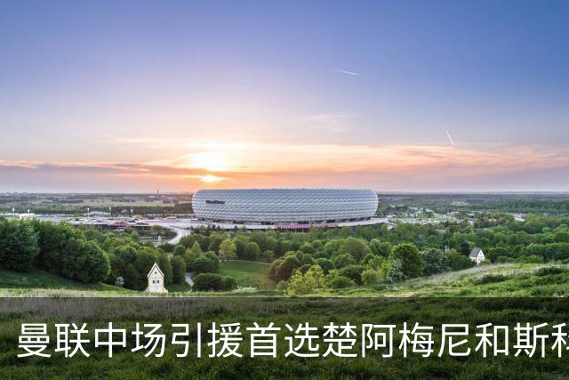 曼联中场引援首选楚阿梅尼和斯科特 与热刺抢荷兰边锋