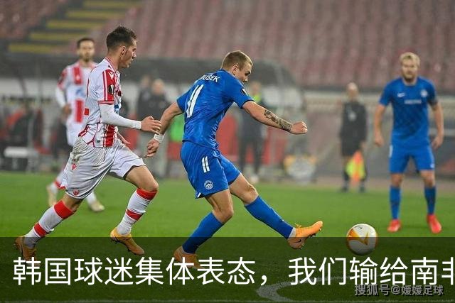 韩国球迷集体表态，我们输给南非，是因为中国国足坑了我们